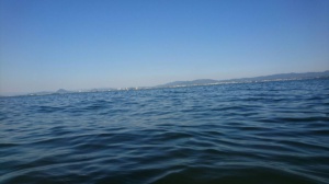 琵琶湖14